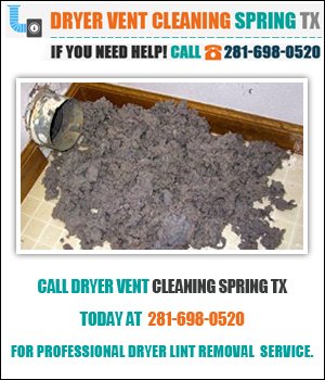 Dryer Lint Removal